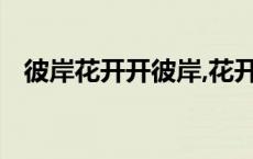彼岸花开开彼岸,花开叶落永不见什么意思