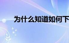 为什么知道如何下载最新的txt全集？