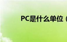 PC是什么单位（pc是什么单位）