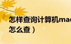 怎样查询计算机mac地址（计算机mac地址怎么查）