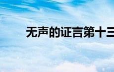 无声的证言第十三季（无声的证言）