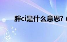 胖ci是什么意思?（胖次是什么意思）