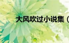 大风吹过小说集（大风刮过作品集）