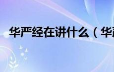 华严经在讲什么（华严经里面主要讲什么）