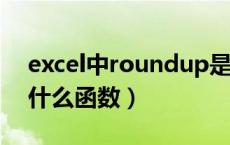excel中roundup是什么函数（roundup是什么函数）