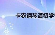 卡农钢琴谱初学者（卡农钢琴谱）