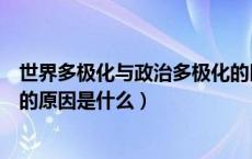 世界多极化与政治多极化的区别（当前世界政治多极化发展的原因是什么）