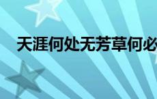 天涯何处无芳草何必单恋一枝花怎么回复