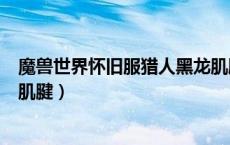 魔兽世界怀旧服猎人黑龙肌腱（魔兽世界怀旧服成年黑龙的肌腱）