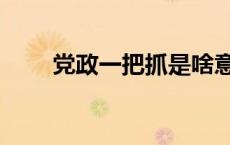 党政一把抓是啥意思（党政一把手）