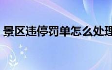 景区违停罚单怎么处理（违停罚单怎么处理）