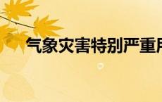 气象灾害特别严重用什么颜色表示等级