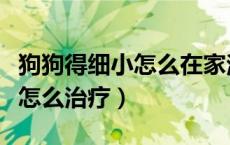 狗狗得细小怎么在家治疗（狗狗得了细小自己怎么治疗）