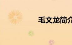 毛文龙简介（毛文龙）