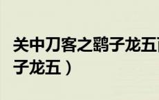 关中刀客之鹞子龙五百度网盘（关中刀客之鹞子龙五）