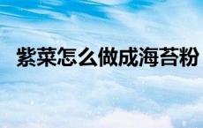 紫菜怎么做成海苔粉（紫菜怎么做成海苔）