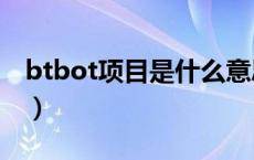 btbot项目是什么意思（bot项目是什么意思）