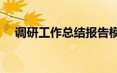 调研工作总结报告模板（调研工作总结）