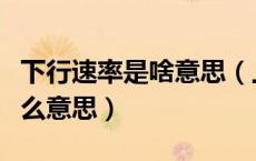 下行速率是啥意思（上行速率和下行速率是什么意思）