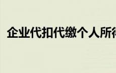 企业代扣代缴个人所得税申报专项附加扣除