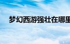 梦幻西游强壮在哪里学（梦幻西游强壮）