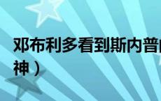 邓布利多看到斯内普的守护神（斯内普的守护神）
