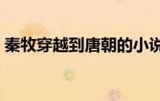 秦牧穿越到唐朝的小说（穿越到唐朝的小说）