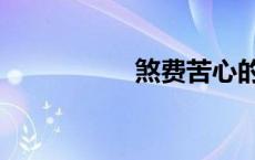 煞费苦心的意思（煞）