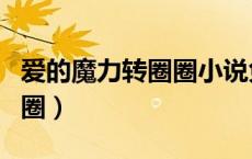 爱的魔力转圈圈小说免费阅读（爱的魔力转圈圈）