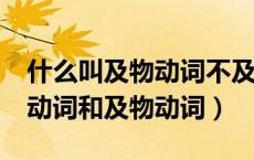 什么叫及物动词不及物动词?（什么是不及物动词和及物动词）