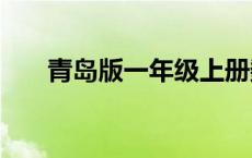 青岛版一年级上册数学期末试卷2021