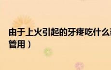 由于上火引起的牙疼吃什么药（上火引起的牙疼吃什么药最管用）