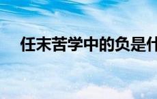 任末苦学中的负是什么意思（任末苦学）