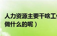 人力资源主要干啥工作（人力资源工作具体是做什么的呢）