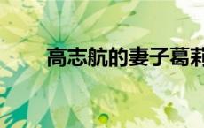 高志航的妻子葛莉尔下落（高志航）