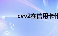 cvv2在信用卡什么意思（cvv2）