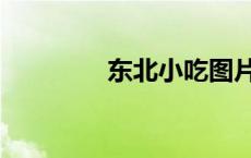 东北小吃图片（东北小吃）