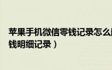 苹果手机微信零钱记录怎么删除（苹果手机如何删除微信零钱明细记录）