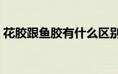 花胶跟鱼胶有什么区别（花胶和鱼胶的区别）