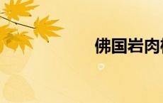 佛国岩肉桂（佛国）