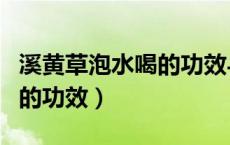 溪黄草泡水喝的功效与副作用（溪黄草泡水喝的功效）