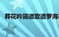 葬花吟简谱歌谱罗海英（葬花吟简谱歌谱）