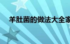 羊肚菌的做法大全家常（羊肚菌的做法）