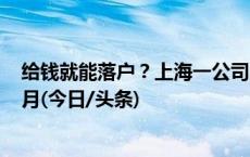 给钱就能落户？上海一公司人事诈骗上百万元获刑11年3个月(今日/头条)