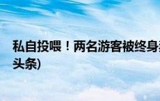 私自投喂！两名游客被终身禁止参观成都大熊猫基地(今日/头条)