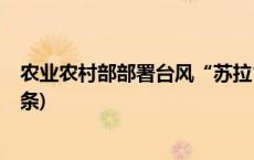 农业农村部部署台风“苏拉”和“海葵”防御工作(今日/头条)