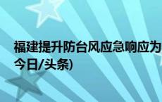 福建提升防台风应急响应为Ⅱ级 启动防暴雨Ⅳ级应急响应(今日/头条)