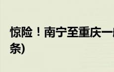 惊险！南宁至重庆一航班遭鸟击返航(今日/头条)