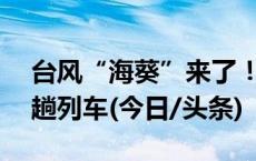 台风“海葵”来了！国铁上海局今天停运47趟列车(今日/头条)