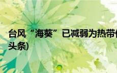 台风“海葵”已减弱为热带低压 福建风暴潮警报解除(今日/头条)